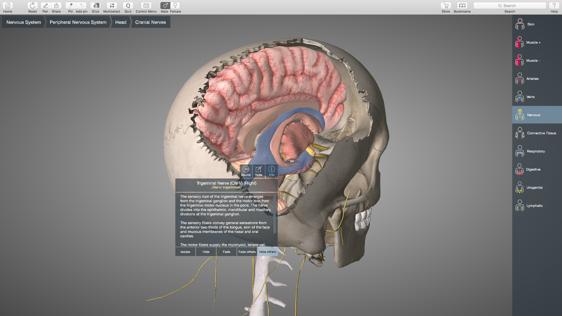 Essential anatomy 5 cracked for mac